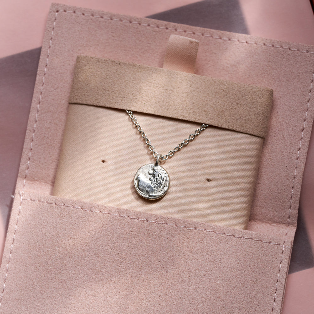 Sterling Silver Zodiac Coin Necklace