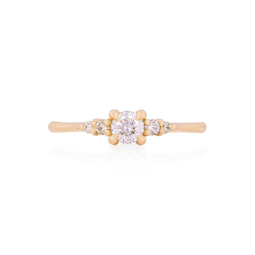 Evermore 0.25ct Diamond Engagement Ring - 14k Gold Polished Band