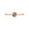 Forever 0.5ct Grey Diamond Engagement Ring - 14k Gold Twig Band