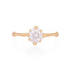 Forever 1ct Lab-Grown Diamond Engagement Ring - 14k Gold Twig Band