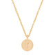 Worth Your Weight In Gold 1996 Stag Coin Necklace - 14k Gold