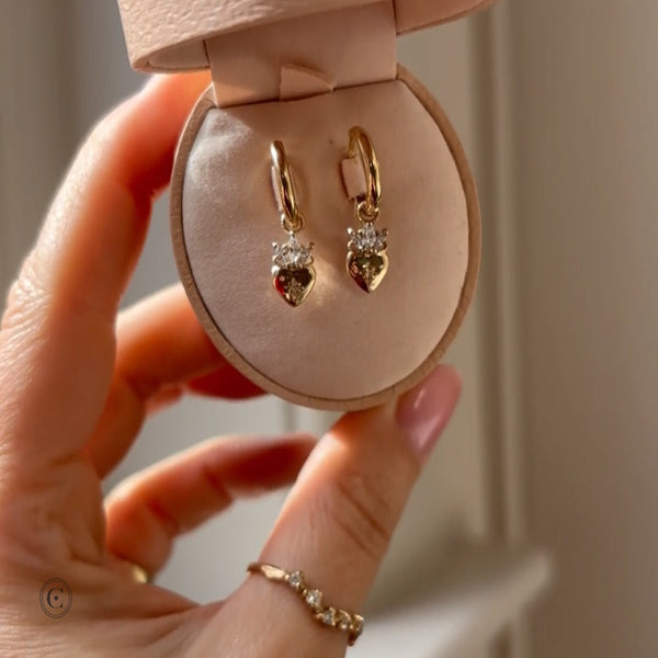 Alternative view of https://cdn.shopify.com/videos/c/o/v/906706523b1348c0923e082241868afa.mp4