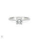 Thumbnail of Darling - Solitaire Diamond Engagement Ring 14k White Gold