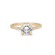 Front view of the 1.5ct Darling Eternity Solitaire Diamond Engagement Ring in 14k solid gold, featuring a solitaire diamond and an eternity-set band.