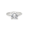 Thumbnail of Front view of the Darling Solitaire Diamond Engagement Ring in 14k white gold, featuring a 2ct solitaire diamond and twig band.