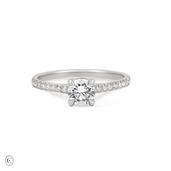 Front view of the Darling Eternity 0.5ct Solitaire Diamond Engagement Ring in 14k white gold, featuring a solitaire diamond and an eternity-set band.