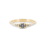 Thumbnail of Evermore 0.25ct Grey Diamond Engagement Ring - 14k Gold Polished Band