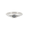 Thumbnail of Evermore 0.25ct Grey Diamond Engagement Ring - 14k White Gold Polished Band