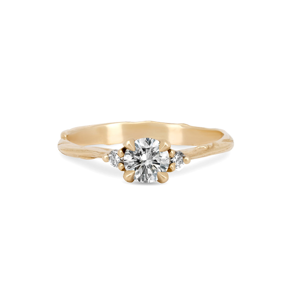 Love is All 0.5ct Diamond Engagement Ring - 14k Gold Twig Band