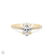 Front view of the Moonlight Eternity 1.5ct Oval Diamond Engagement Ring in 14k solid gold, featuring an oval diamond with an eternity-set band.