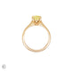 Moonlight - Oval Lab Grown Yellow Diamond Engagement Ring 14k Gold