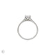 Top-down view of the Moonlight Eternity Oval Diamond Engagement Ring in 14k white gold, highlighting the central oval diamond and full eternity band.