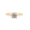 Thumbnail of Sparkle 1ct Grey Diamond Engagement Ring - 14k Gold Twig Band