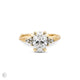 Front view of the Starlight 1.5ct Oval Diamond Engagement Ring in 14k solid gold, featuring an oval diamond with a twig band.
