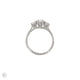 Top-down view of the Guiding Light Trilogy Oval Diamond Engagement Ring in 14k white gold, with a textured twig band.