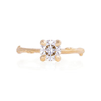 Sparkle 1ct Lab-Grown Diamond Engagement Ring - 14k Gold Twig Band