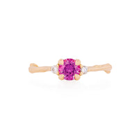 Love is All 0.5ct Pink Sapphire Engagement Ring - 14k Gold Twig Band