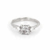 Thumbnail of You, Me & Magic 1ct Grey Diamond Engagement Ring - 14k White Gold Twig Band - Video cover